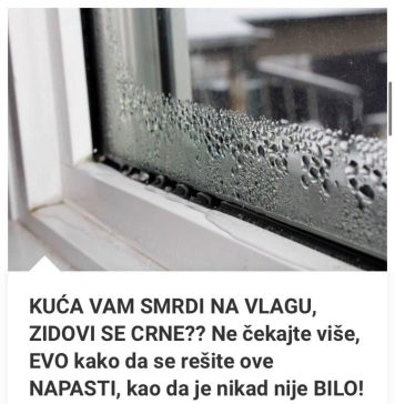 KUĆA VAM SMRDI NA VLAGU, ZIDOVI SE CRNE?? EVO kako da se REŠITE ove NAPASTI, kao da je nikad nije bilo!
