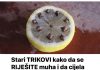 Stari TRIKOVI kako da se RIJEŠITE muha i da cijela kuhinja zamiriše: Naše bake nisu imale mreže na prozorima i tako su se mogle nositi sa insektima!