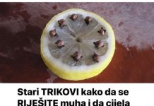 Stari TRIKOVI kako da se RIJEŠITE muha i da cijela kuhinja zamiriše: Naše bake nisu imale mreže na prozorima i tako su se mogle nositi sa insektima!
