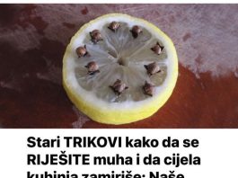 Stari TRIKOVI kako da se RIJEŠITE muha i da cijela kuhinja zamiriše: Naše bake nisu imale mreže na prozorima i tako su se mogle nositi sa insektima!