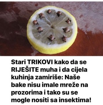 Stari TRIKOVI kako da se RIJEŠITE muha i da cijela kuhinja zamiriše: Naše bake nisu imale mreže na prozorima i tako su se mogle nositi sa insektima!