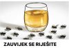 ZAUVIJEK SE RIJEŠITE SVIH MUHA I KOMARACA: Ne trebate trošiti pare, trebaju vam samo 3 SASTOJKA!