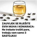 ZAUVIJEK SE RIJEŠITE SVIH MUHA I KOMARACA: Ne trebate trošiti pare, trebaju vam samo 3 SASTOJKA!