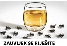 ZAUVIJEK SE RIJEŠITE SVIH MUHA I KOMARACA: Ne trebate trošiti pare, trebaju vam samo 3 SASTOJKA!