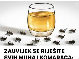 ZAUVIJEK SE RIJEŠITE SVIH MUHA I KOMARACA: Ne trebate trošiti pare, trebaju vam samo 3 SASTOJKA!