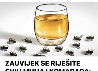 ZAUVIJEK SE RIJEŠITE SVIH MUHA I KOMARACA: Ne trebate trošiti pare, trebaju vam samo 3 SASTOJKA!