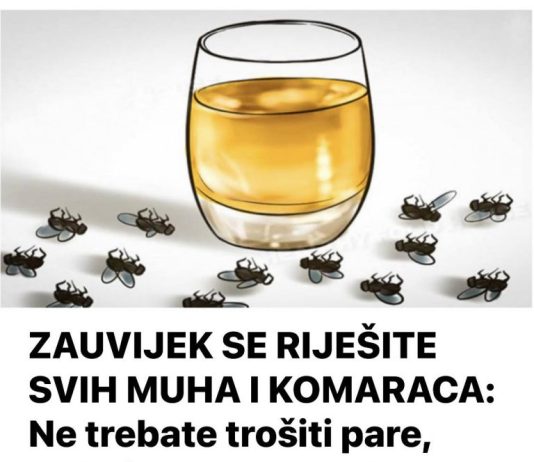 ZAUVIJEK SE RIJEŠITE SVIH MUHA I KOMARACA: Ne trebate trošiti pare, trebaju vam samo 3 SASTOJKA!