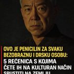 Ovo su 5 rečenica za svaku bezobraznu I drsku osobu: ovako ćete ih na kulturan način spustiti na zemlju Ovo su 5 rečenica za svaku bezobraznu I drsku osobu: ovako ćete ih na kulturan način spustiti na zemlju - featured image