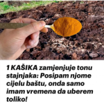 1 KAŠIKA zamjenjuje tonu stajnjaka: Posipam njome cijelu baštu, onda samo imam vremena da uberem toliko!