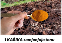 1 KAŠIKA zamjenjuje tonu stajnjaka: Posipam njome cijelu baštu, onda samo imam vremena da uberem toliko!
