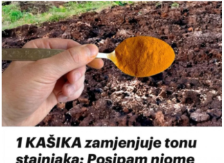 1 KAŠIKA zamjenjuje tonu stajnjaka: Posipam njome cijelu baštu, onda samo imam vremena da uberem toliko!