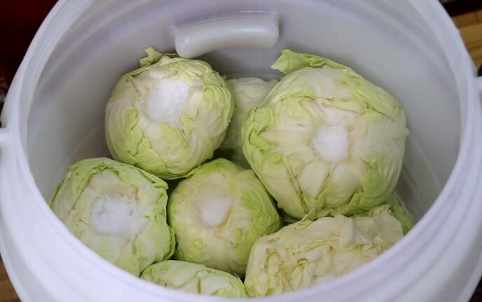 Koliko soli staviti na 10 litara vode za kiseli kupus: Evo prave količine za odličan rasol - featured image Koliko soli staviti na 10 litara vode za kiseli kupus: Evo prave količine za odličan rasol - featured image